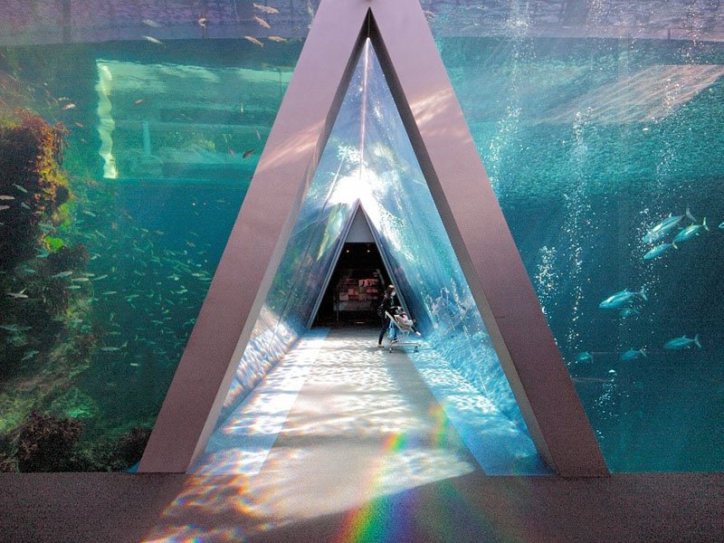 🐠 아쿠아마린 후쿠시마 (아쿠아마린 후쿠시마) 이미지 5